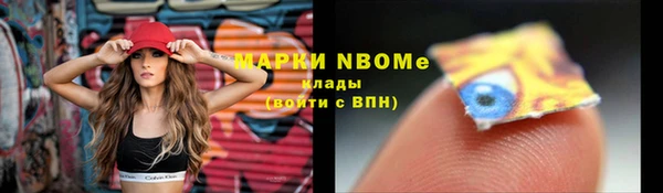 амф Майский